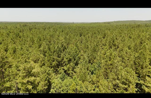 Storey Parkman Property Photo 27