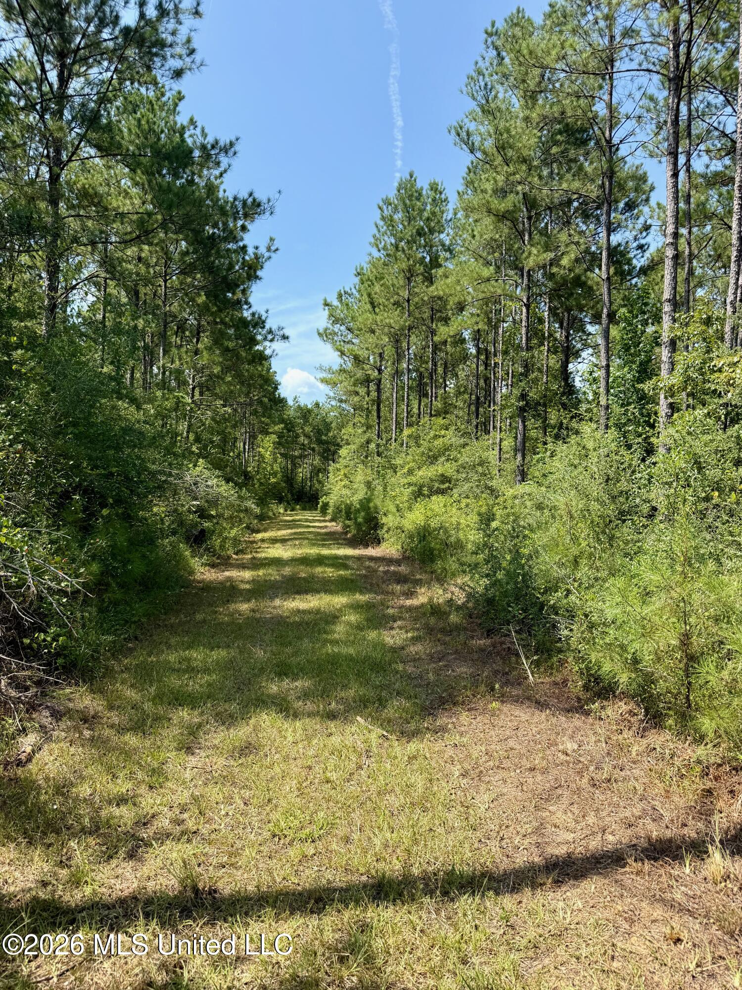 Storey Parkman Property Photo 30