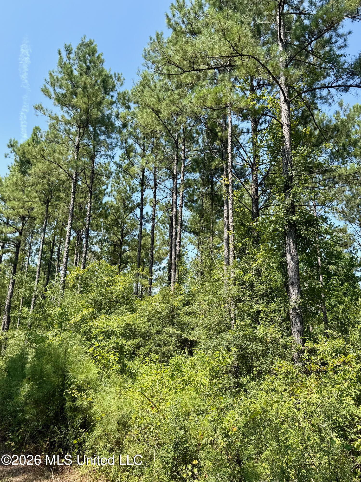 Storey Parkman Property Photo 31