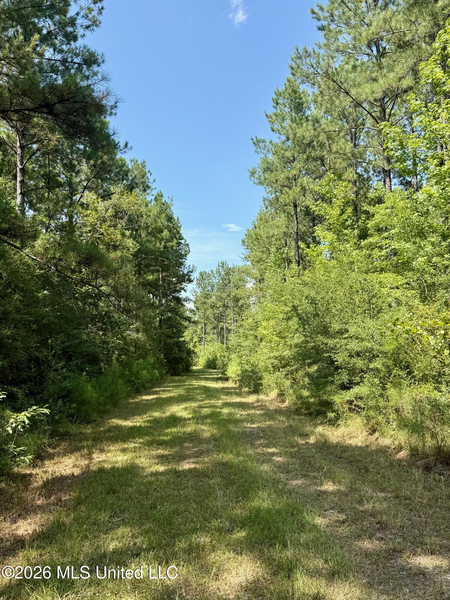 Storey Parkman Property Photo 32
