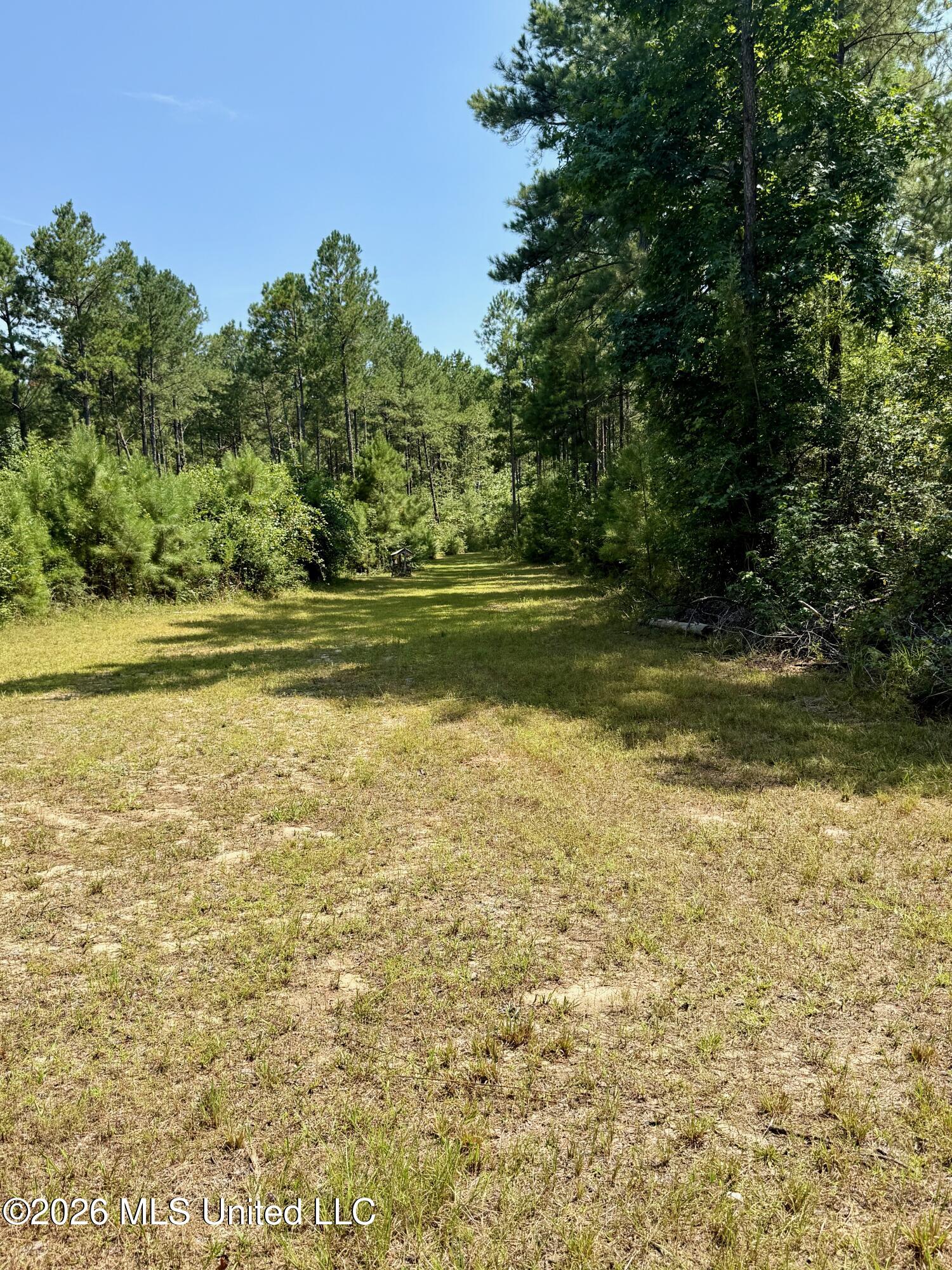 Storey Parkman Property Photo 33