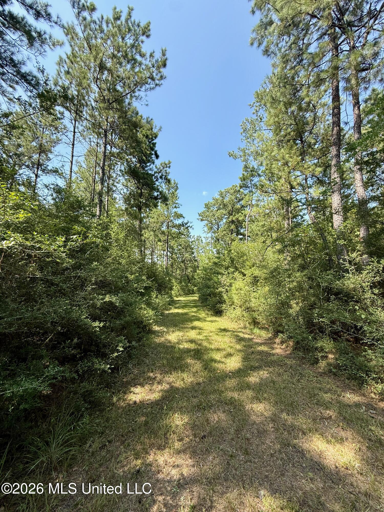 Storey Parkman Property Photo 35