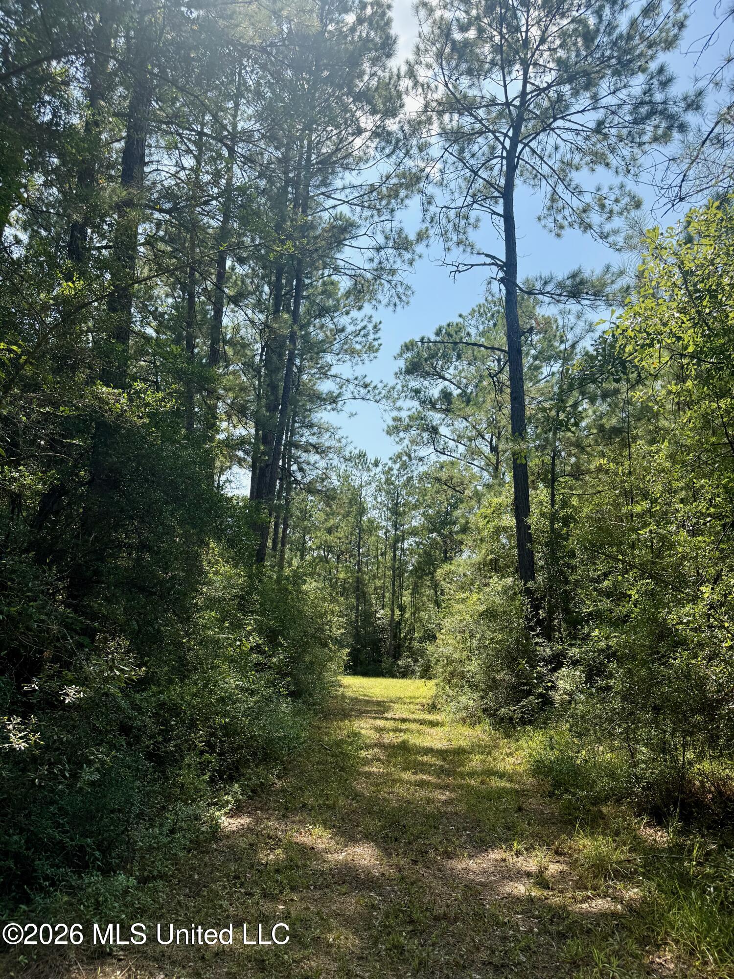 Storey Parkman Property Photo 36