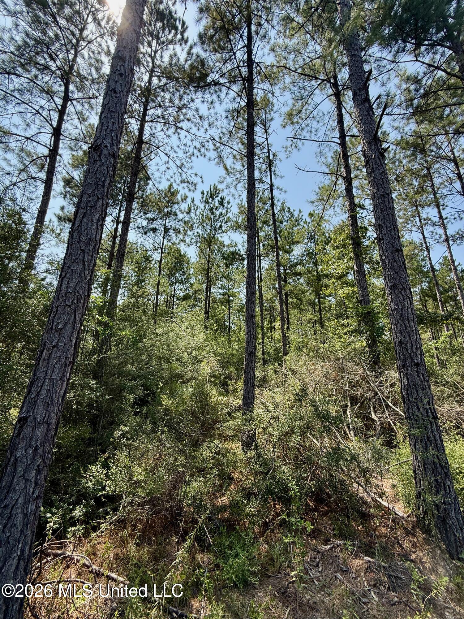 Storey Parkman Property Photo 37