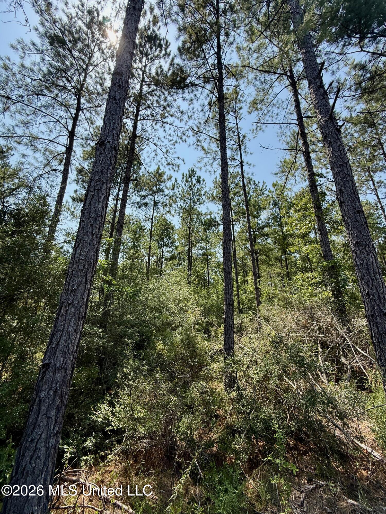 Storey Parkman Property Photo 39