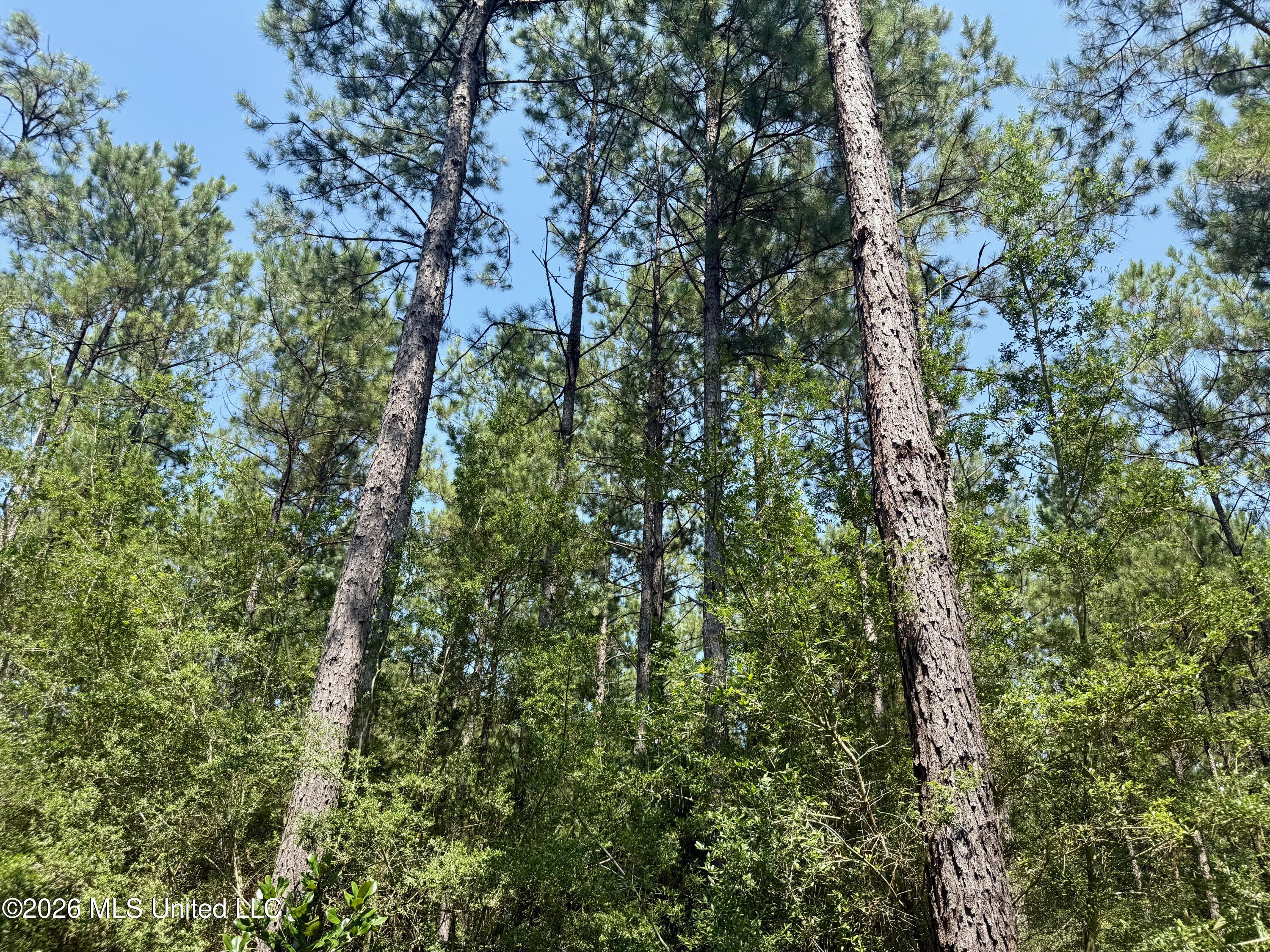 Storey Parkman Property Photo 42
