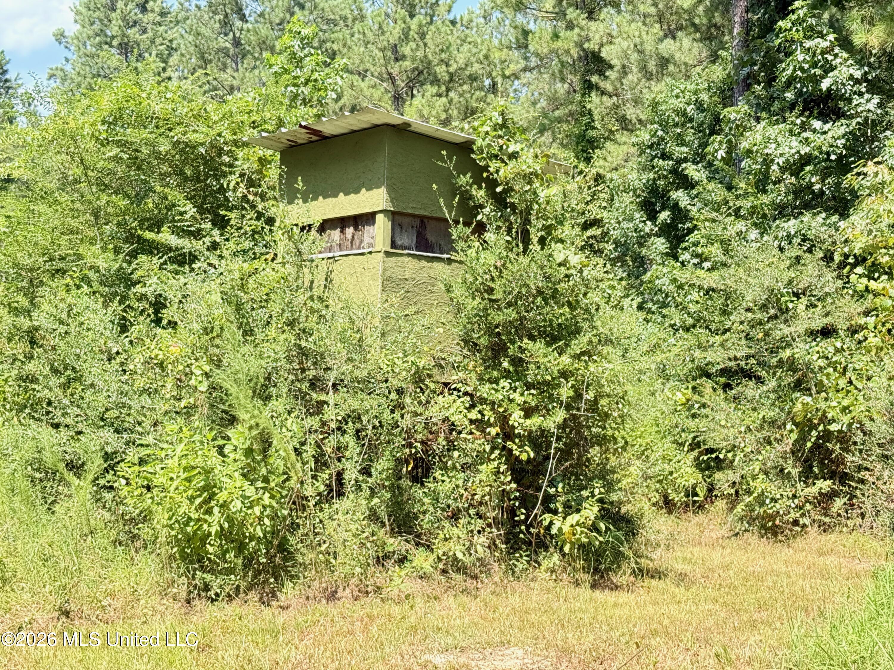Storey Parkman Property Photo 43