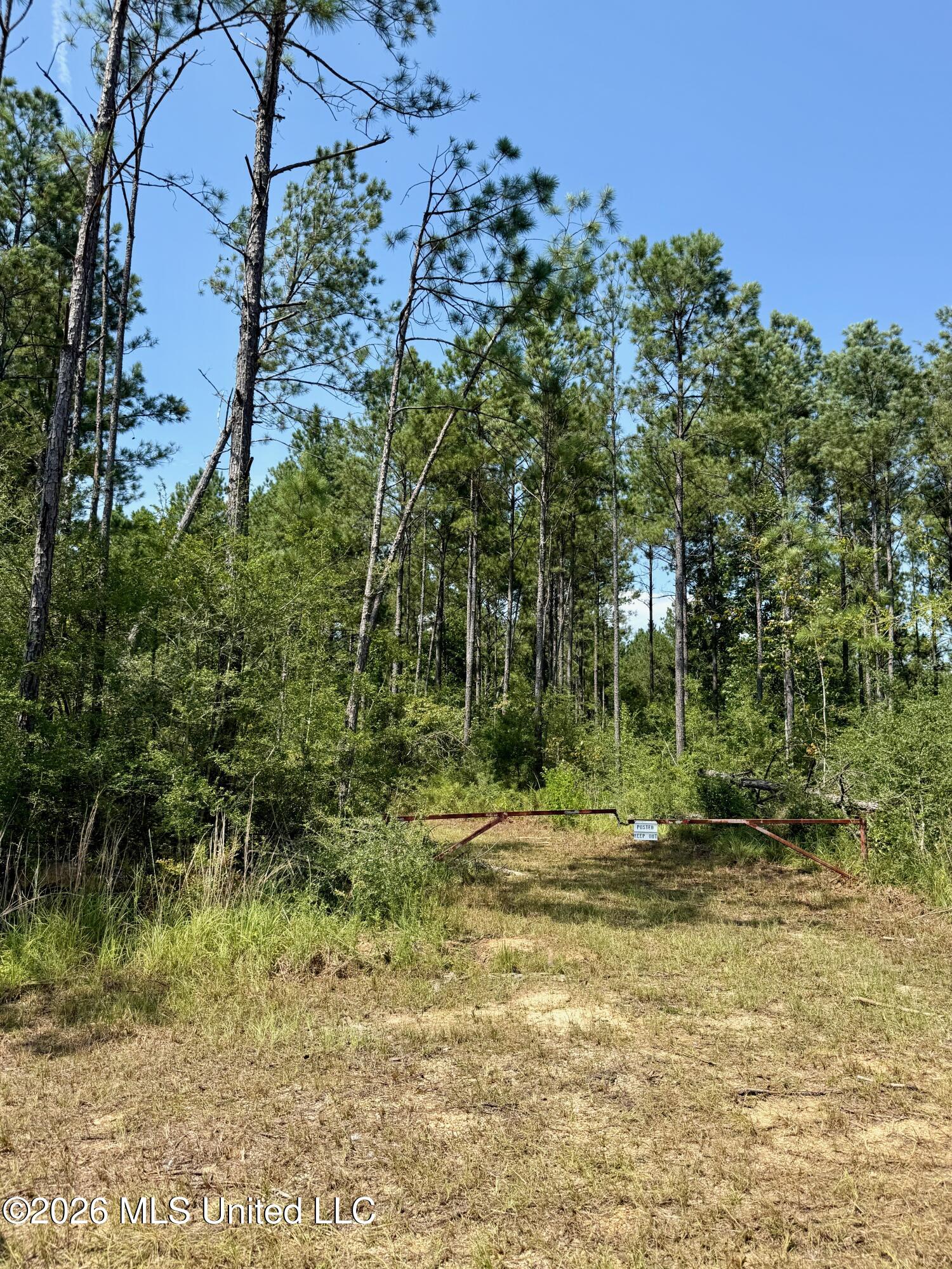 Storey Parkman Property Photo 44