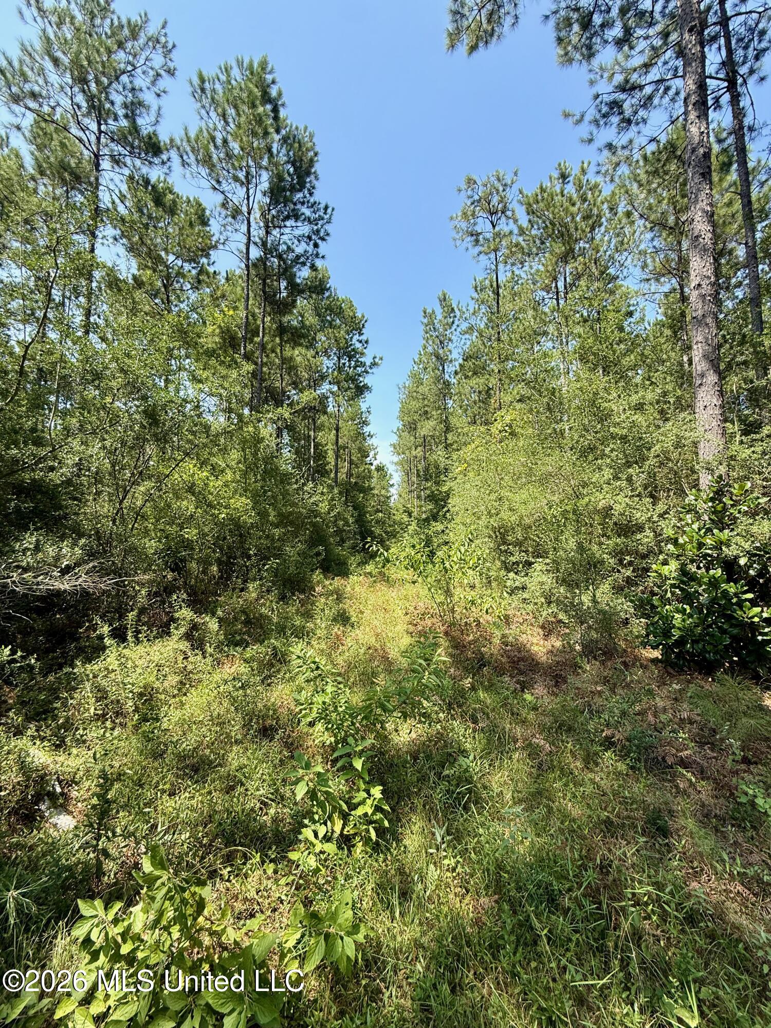 Storey Parkman Property Photo 47