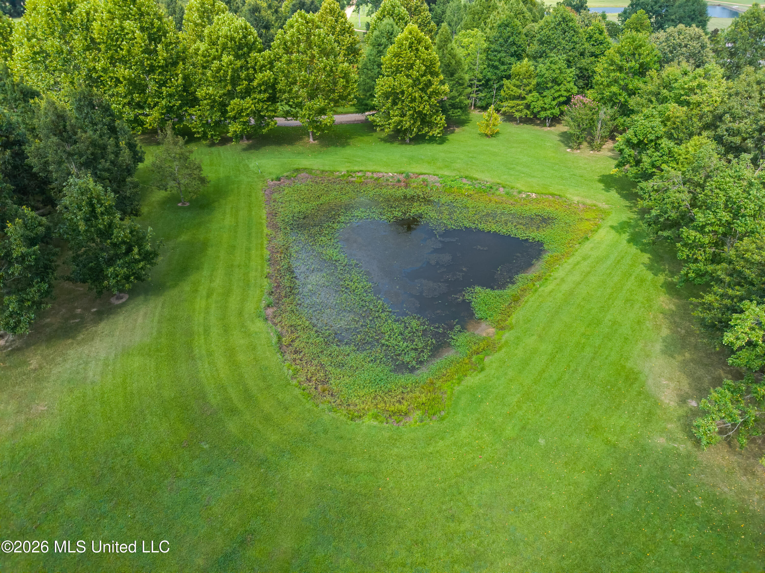 7912-a U.s. 98 Property Photo 69