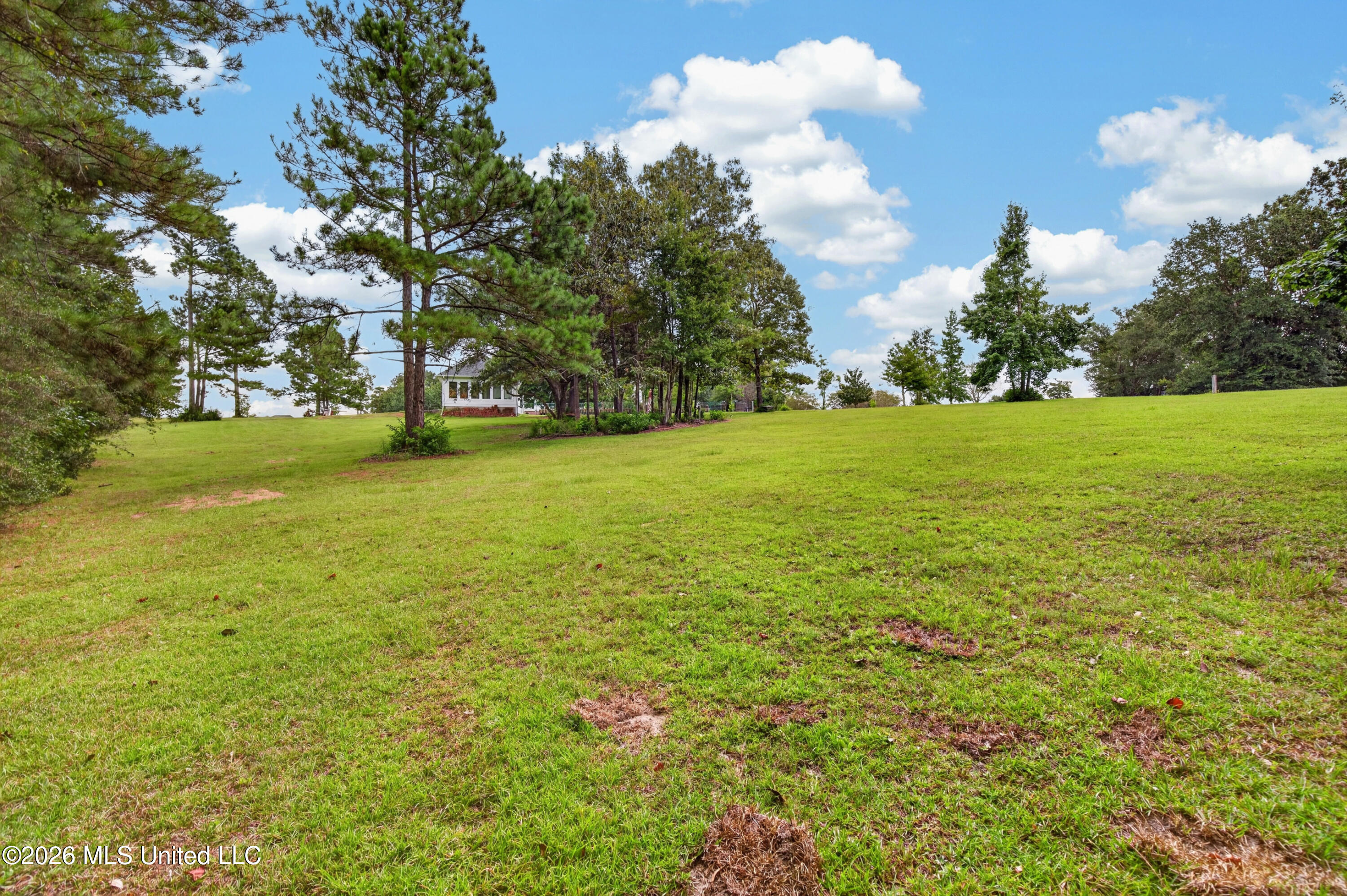 5037 Longbow Drive Property Photo 113