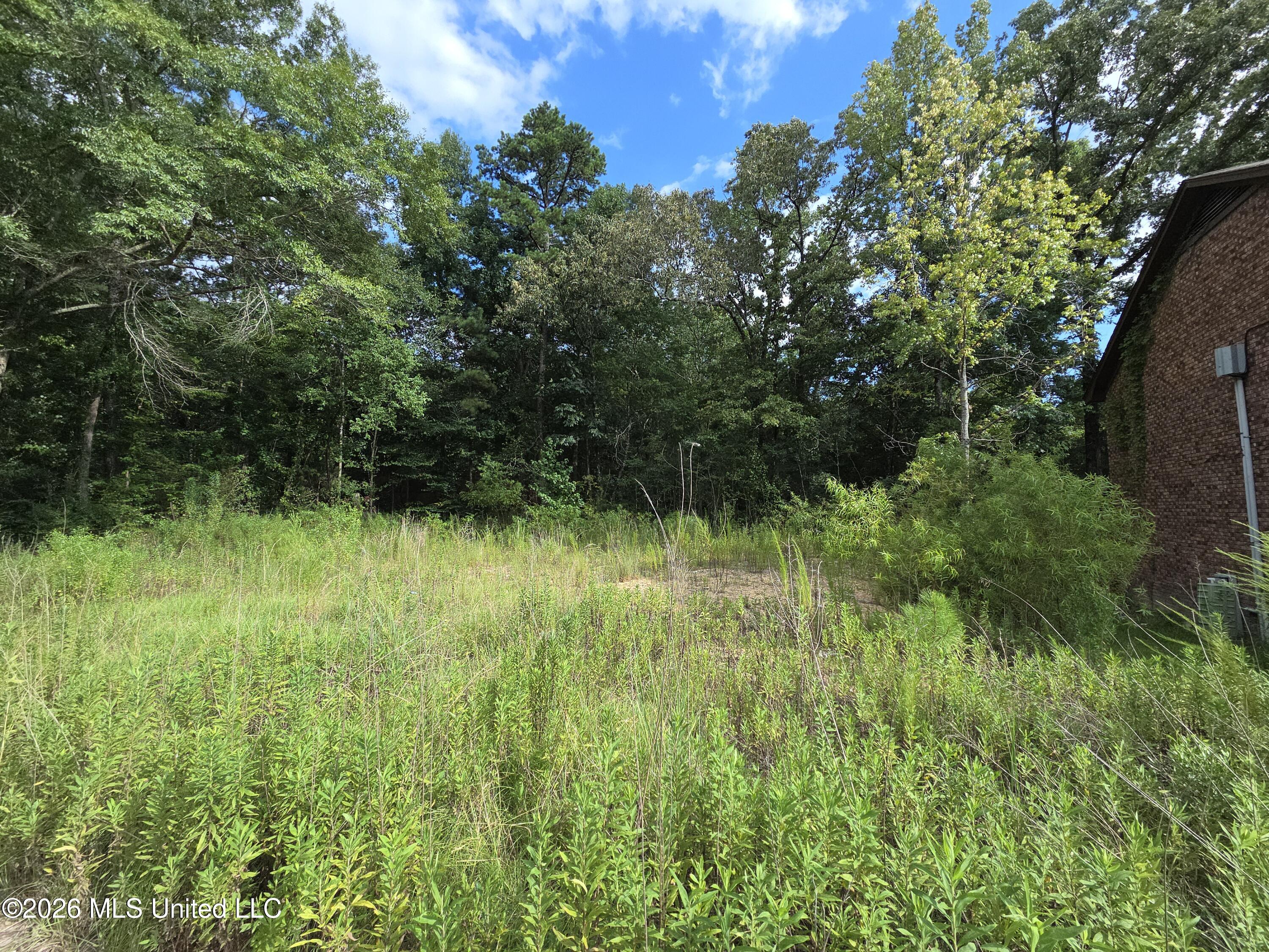 124 Plantation Boulevard Property Photo 1