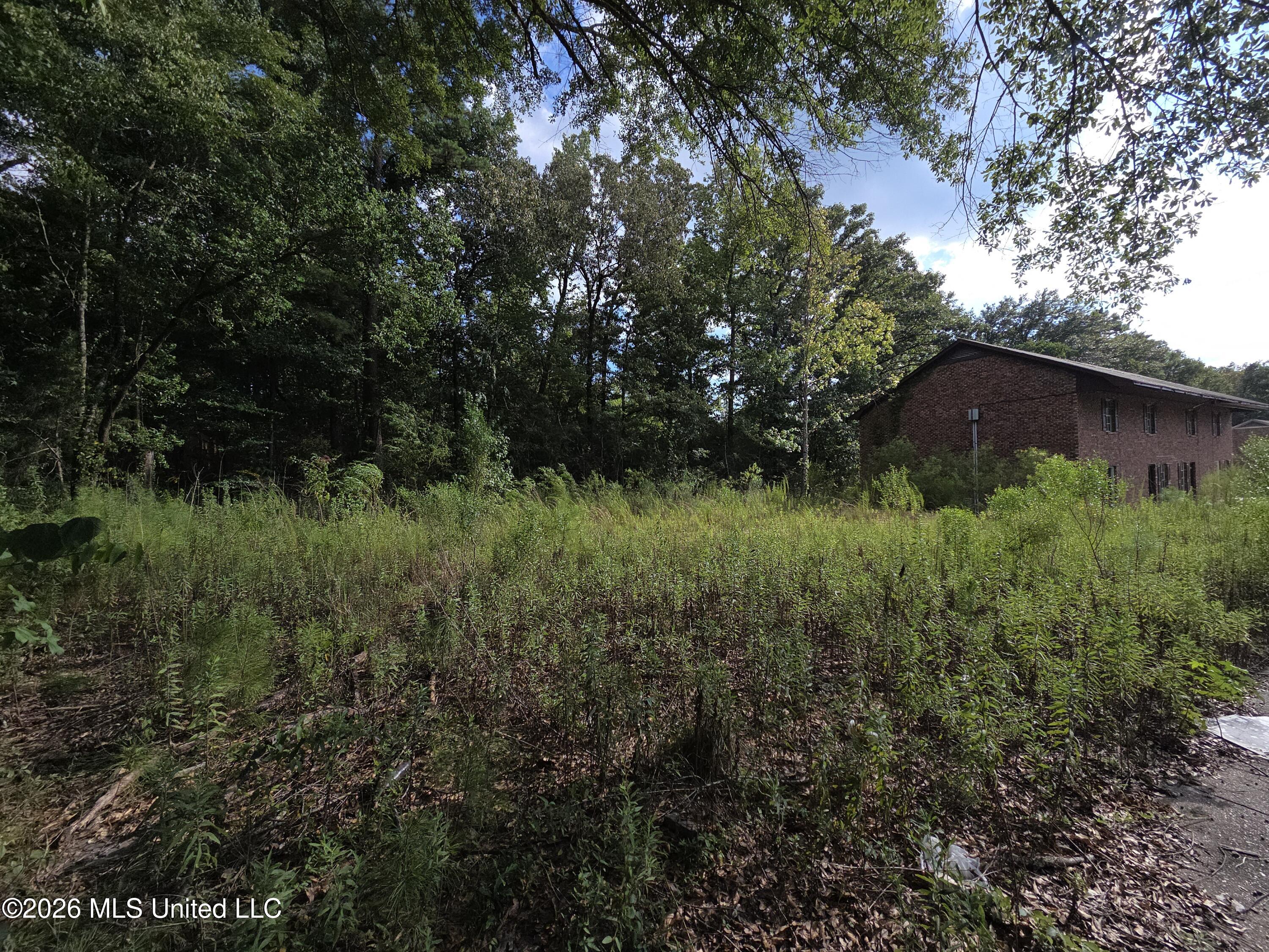 124 Plantation Boulevard Property Photo 3