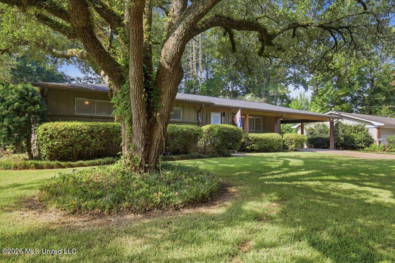 119 Pimlico Place Property Photo 2