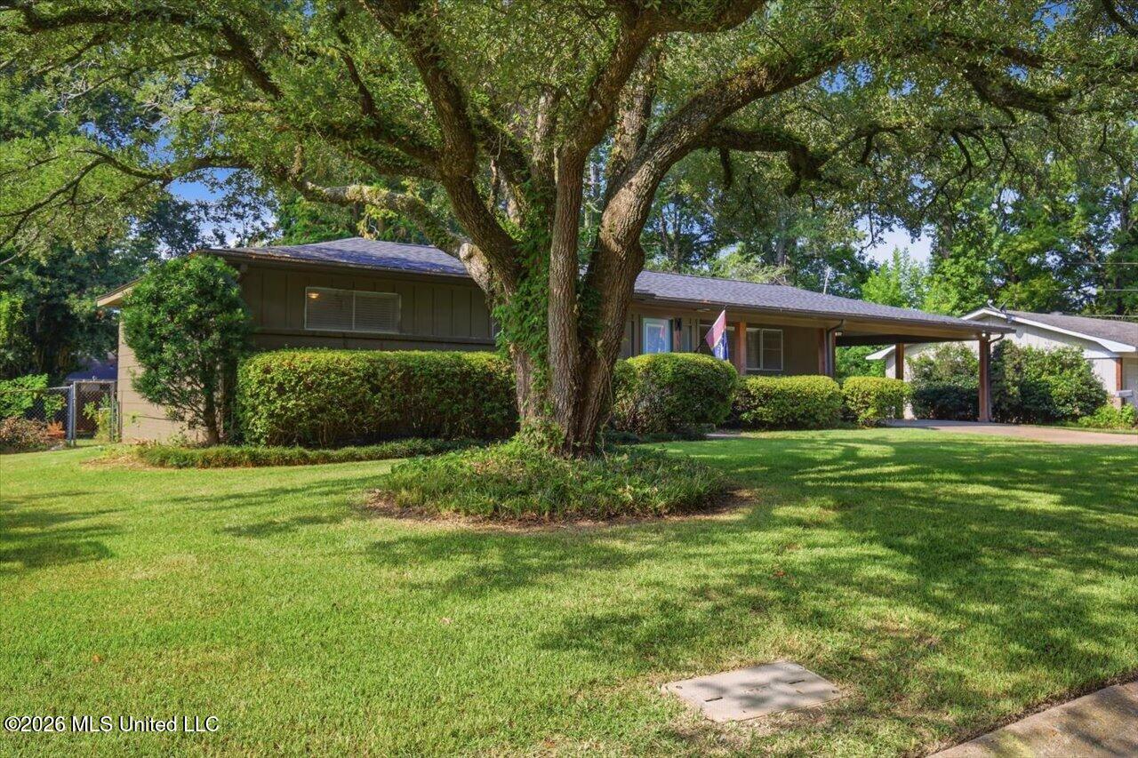 119 Pimlico Place Property Photo 3