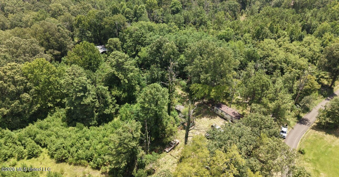 258 Pine Tree Lane Property Photo 1