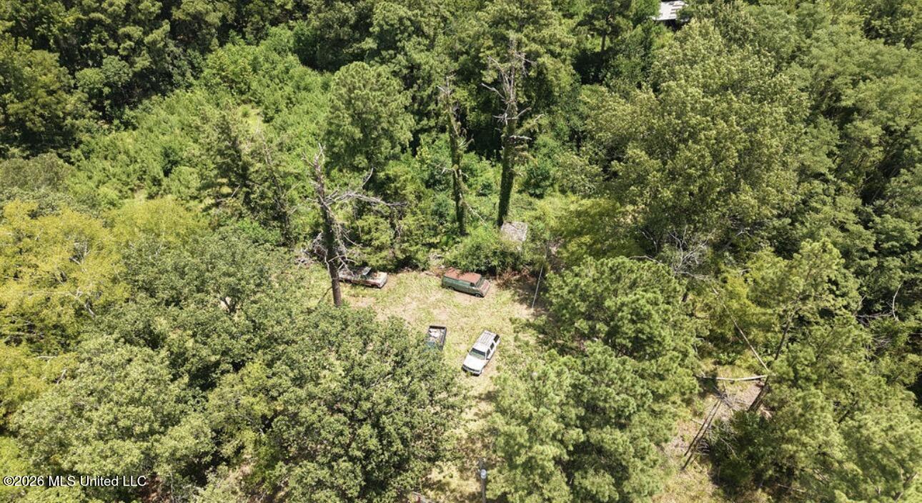 258 Pine Tree Lane Property Photo 2