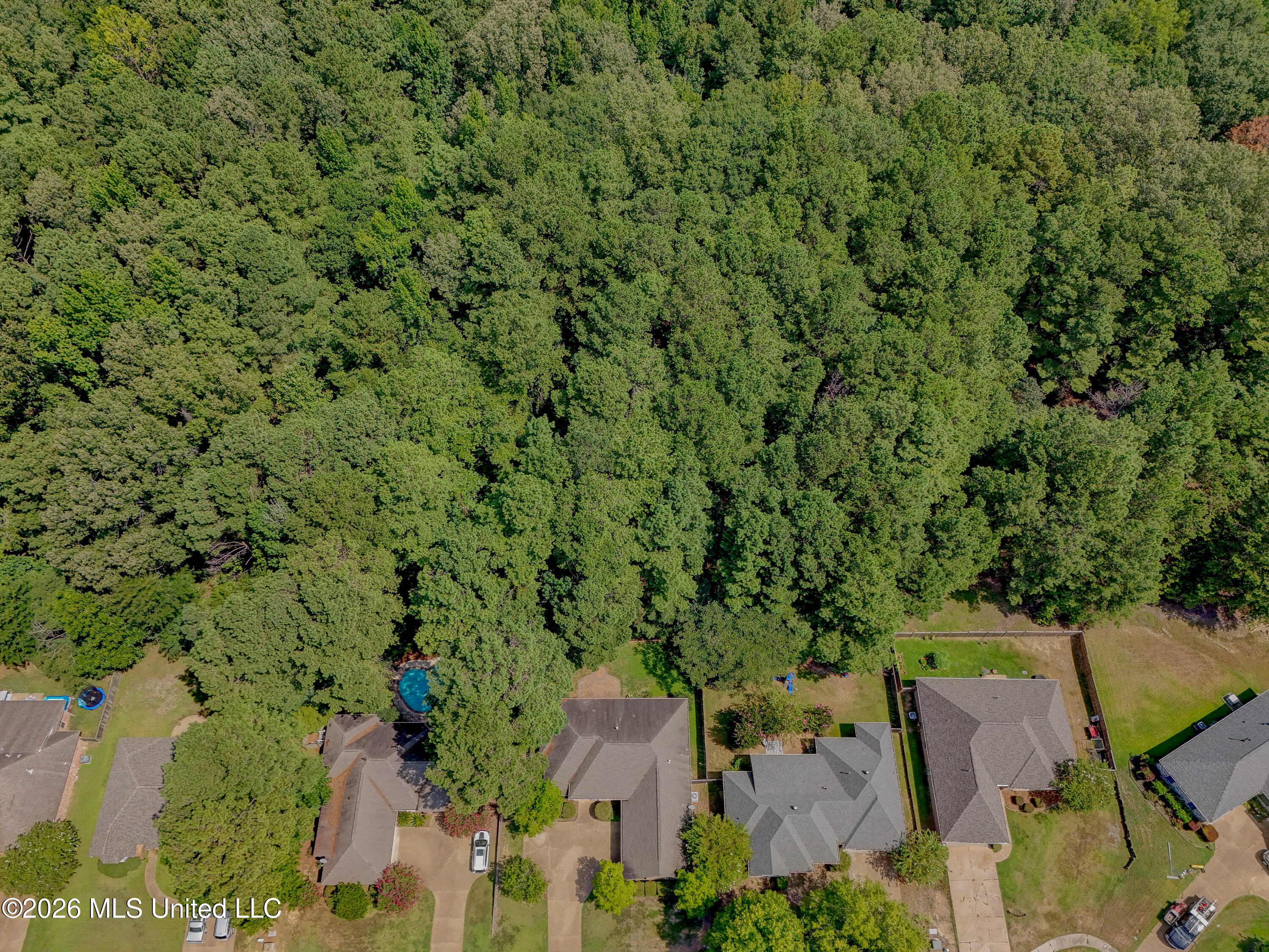 137 Baileys Ridge Circle Property Photo 60