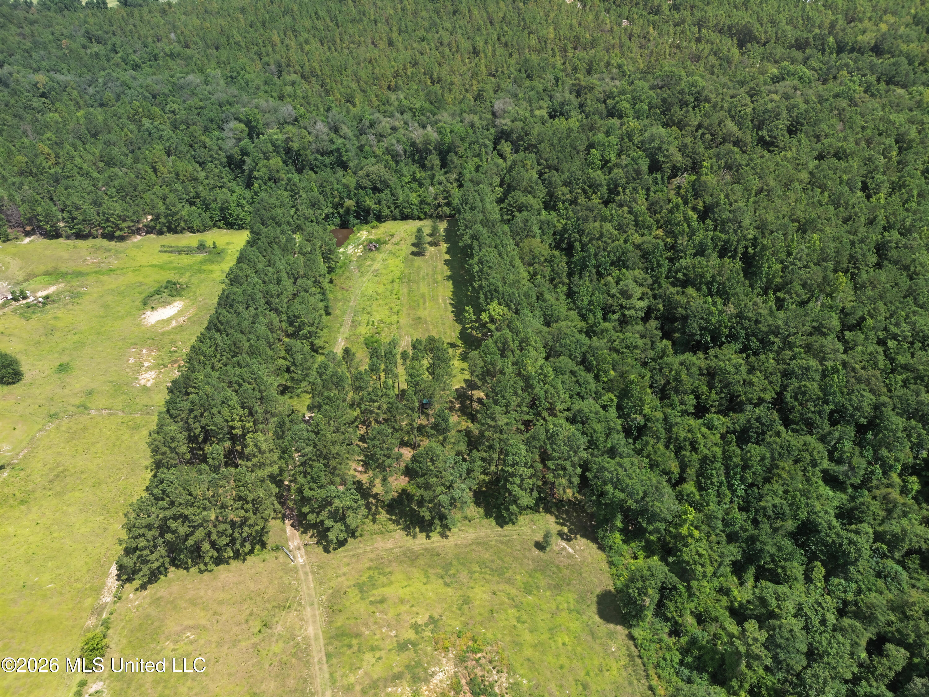 116 Levi Bryant Road Property Photo 43