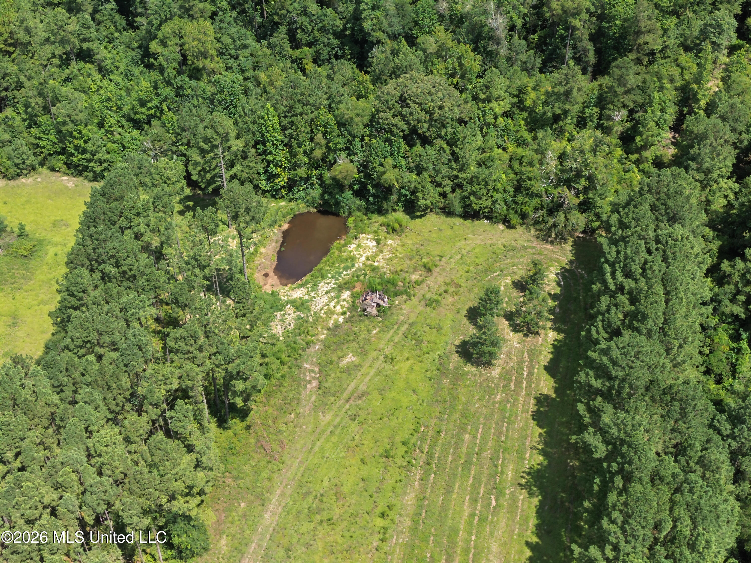 116 Levi Bryant Road Property Photo 44
