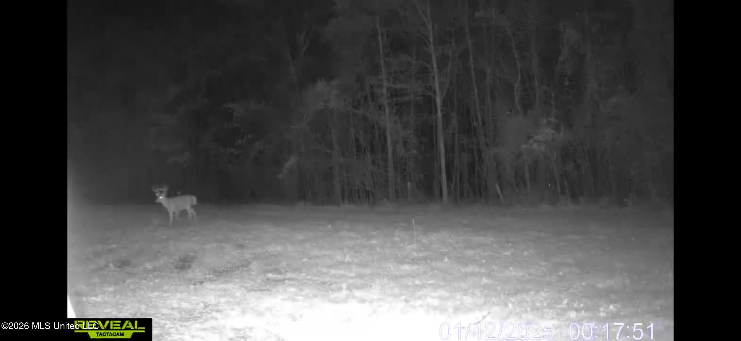 4241 Morton-rankin County Line Road Property Photo 4