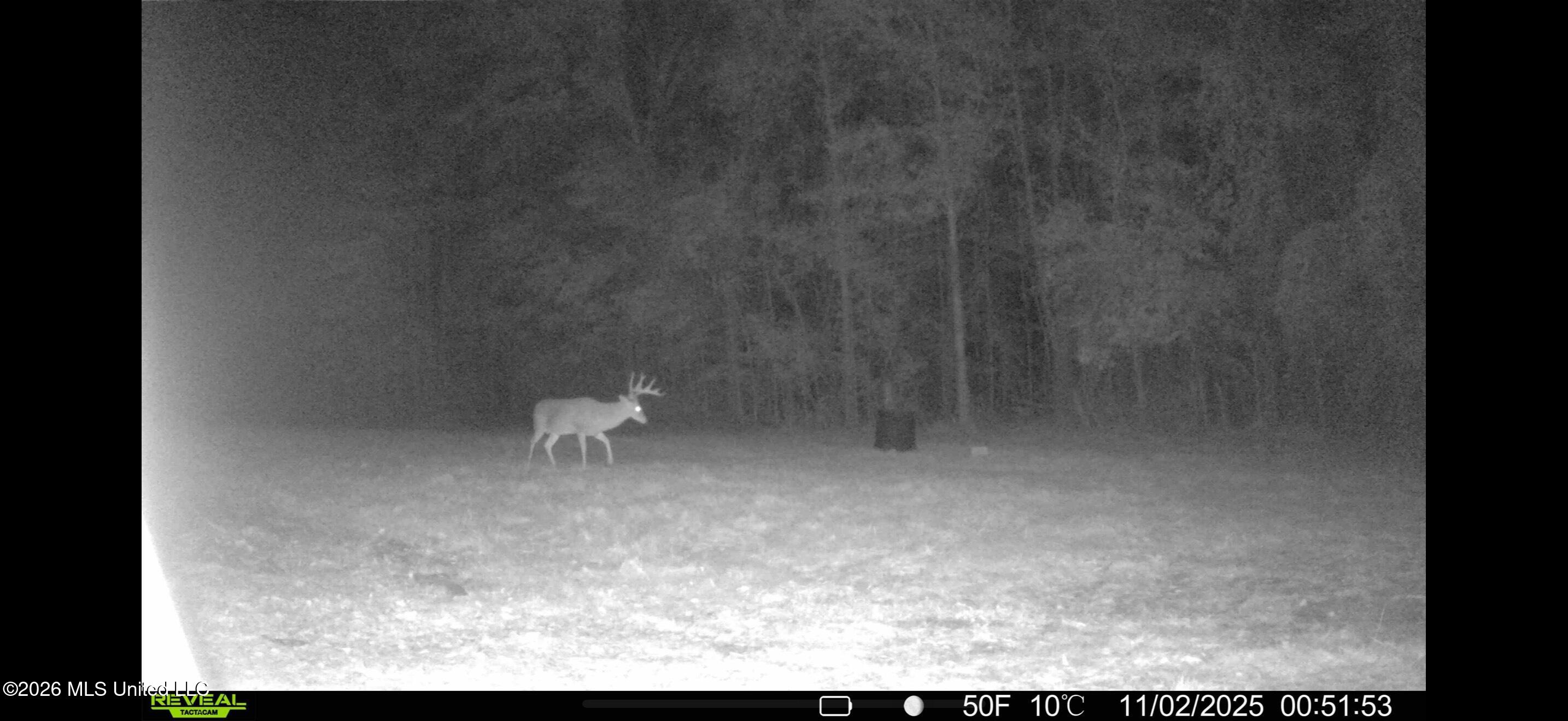 4241 Morton-rankin County Line Road Property Photo 16