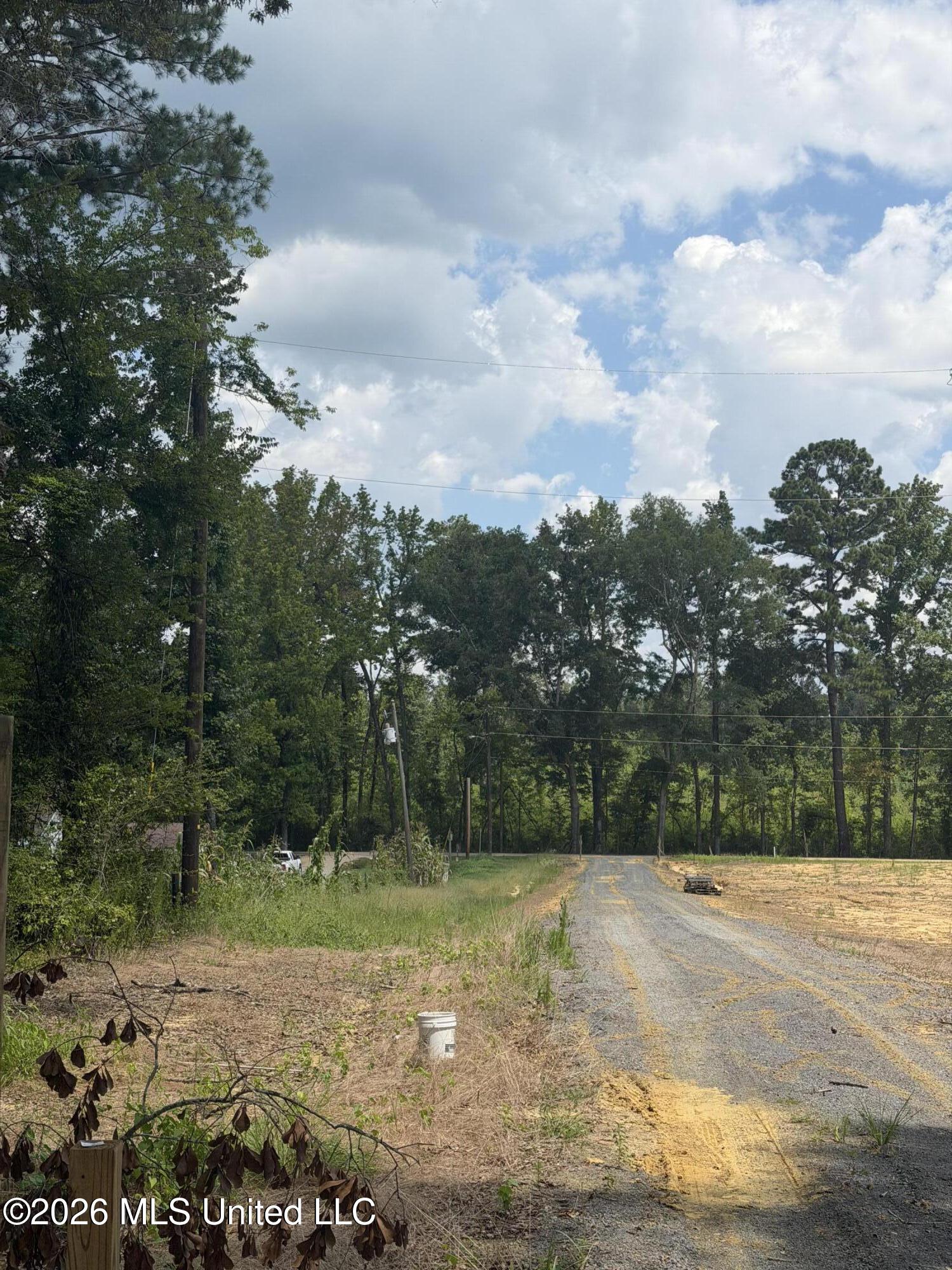 4241 Morton-rankin County Line Road Property Photo 17