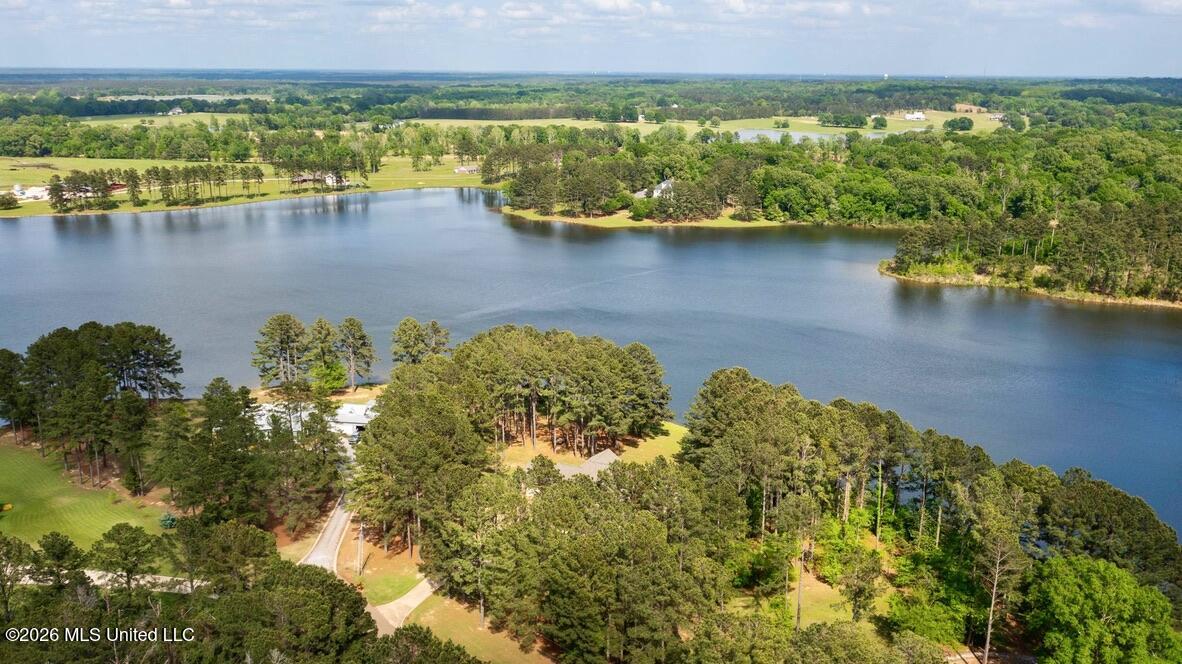 130 Pine Lake Cove Property Photo 53