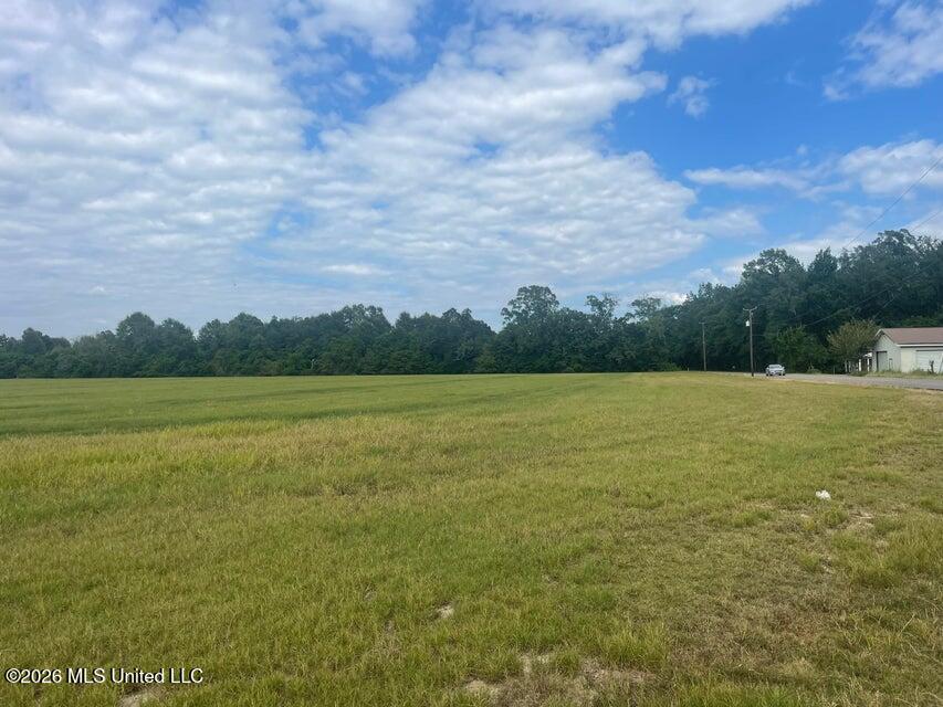 15.5 Ac +- Carterville Road Property Photo 1