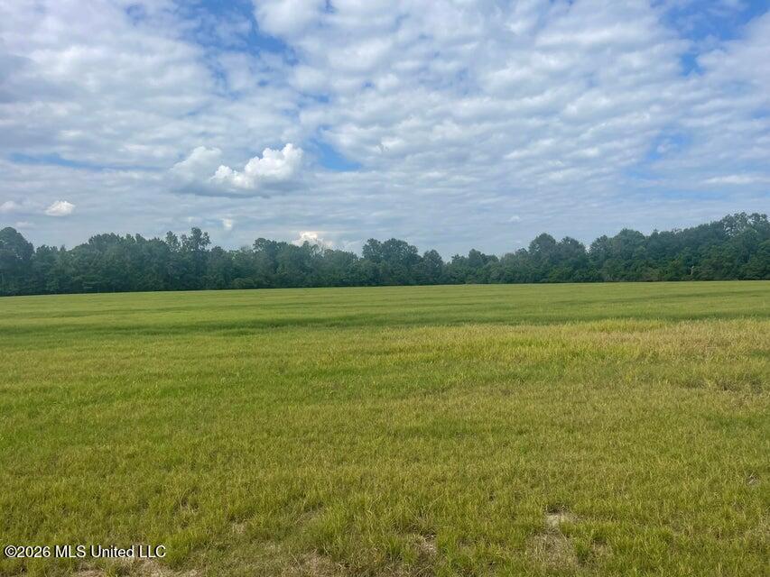 15.5 Ac +- Carterville Road Property Photo 3