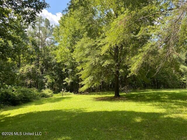 7 County Road 527 Property Photo 34