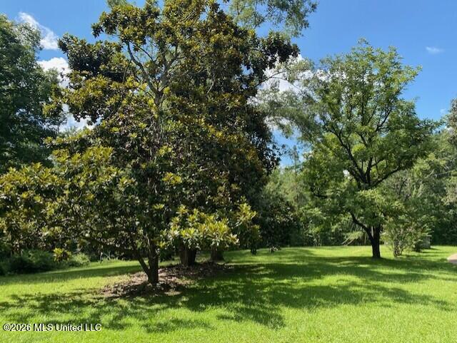 7 County Road 527 Property Photo 35