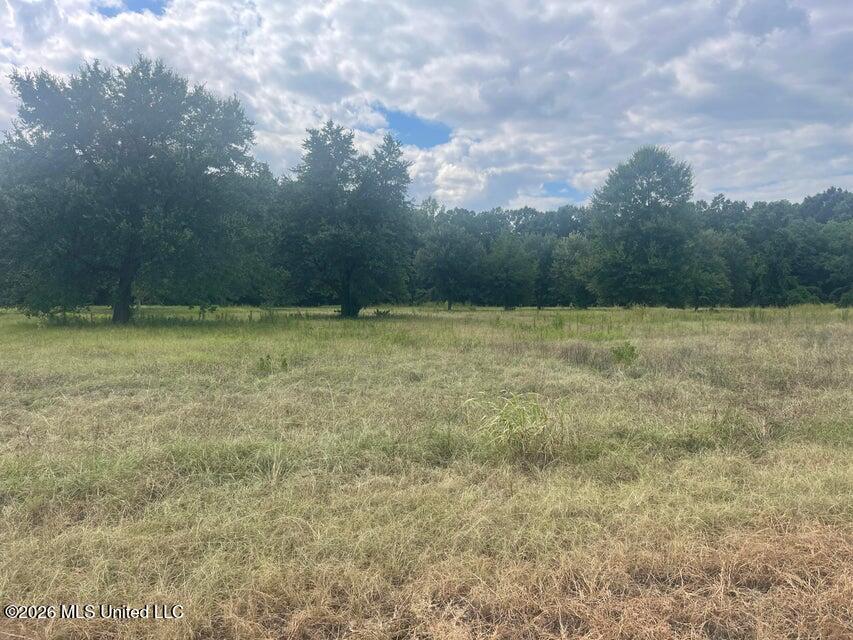 5 Ac S Main Street Property Photo 1