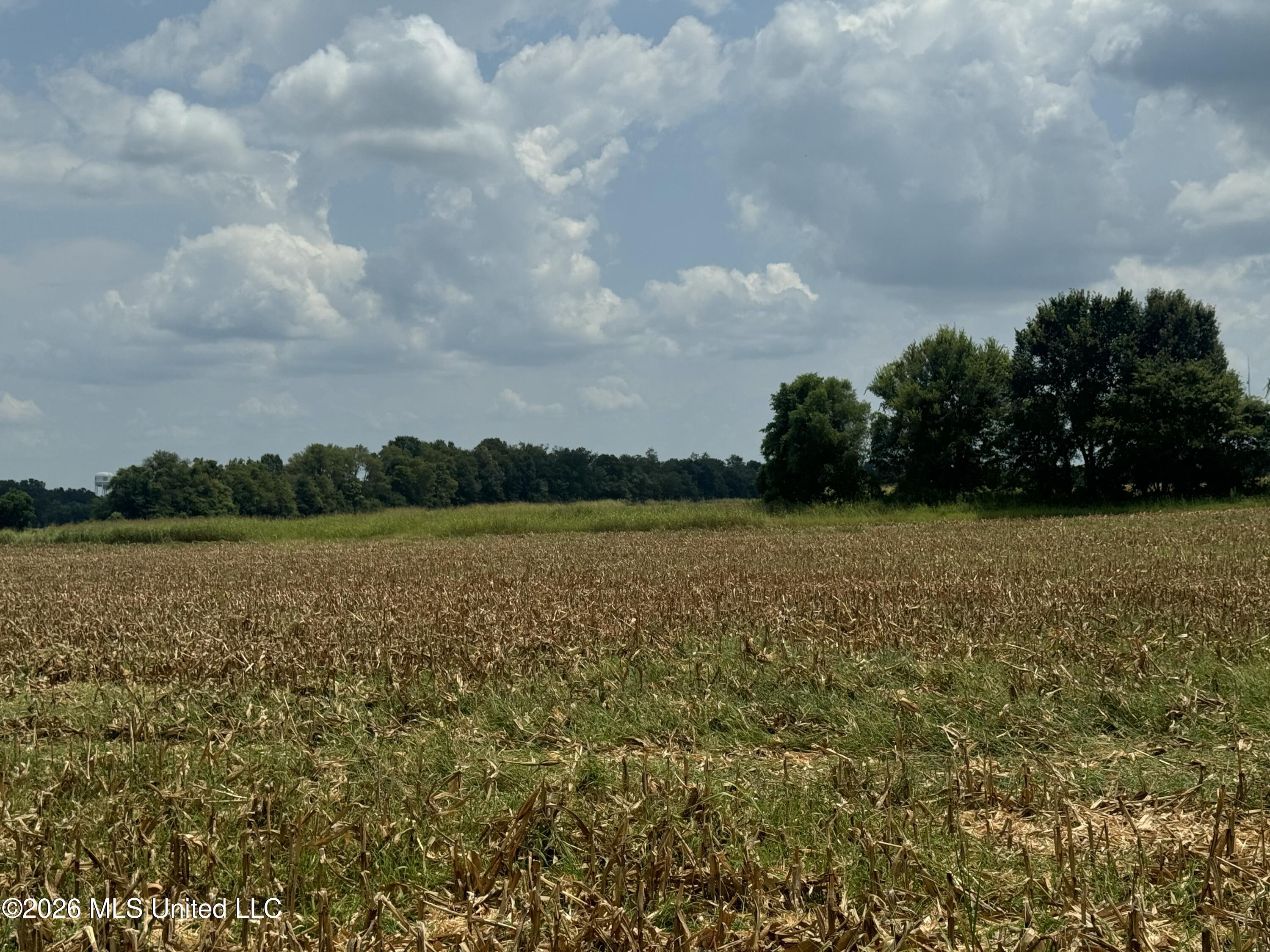 Finney Road Property Photo 4
