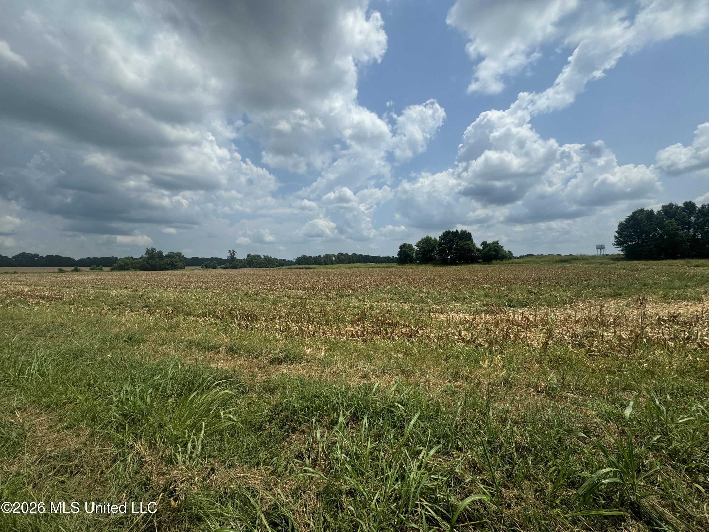 Finney Road Property Photo 5