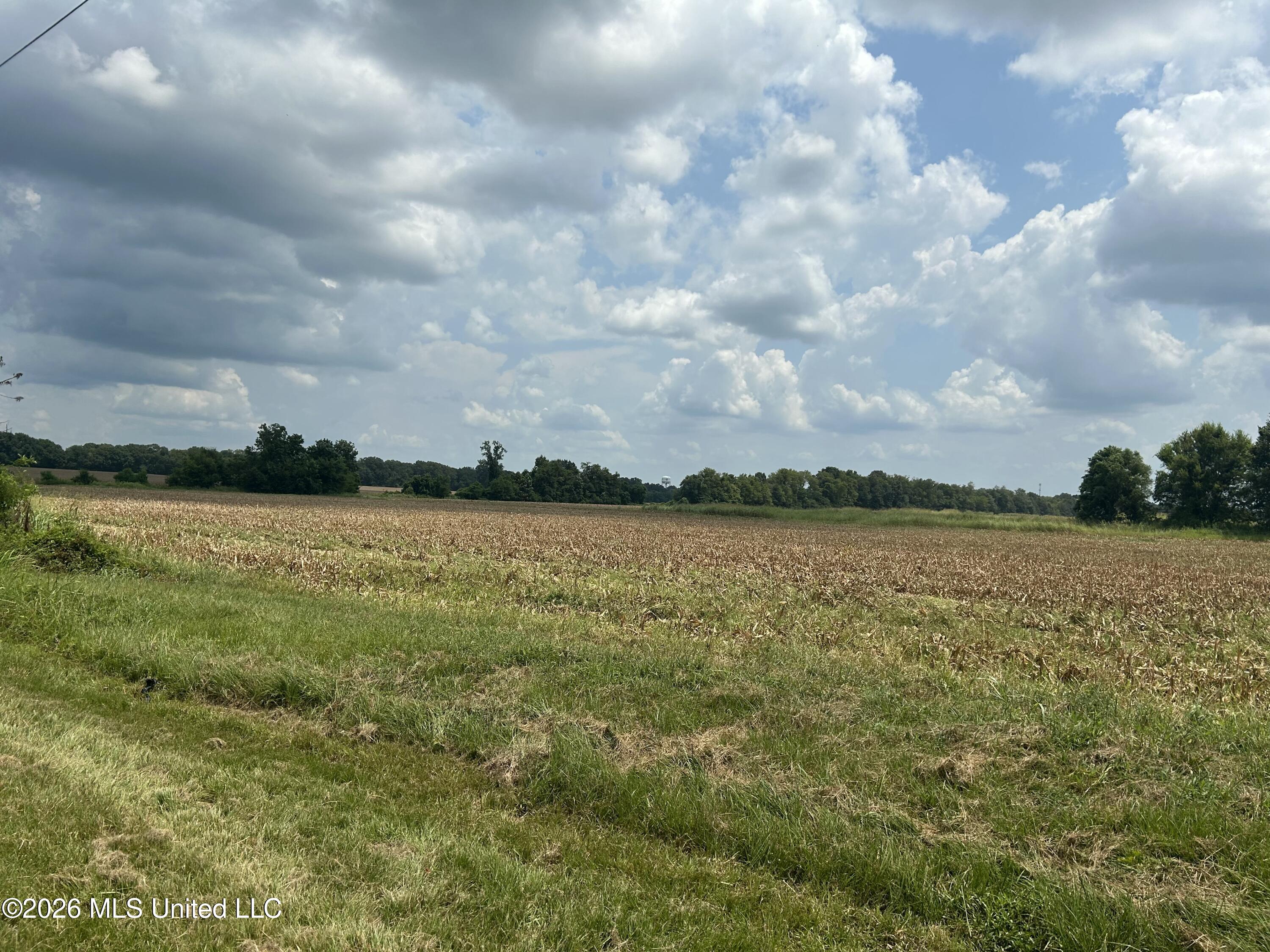 Finney Road Property Photo 8