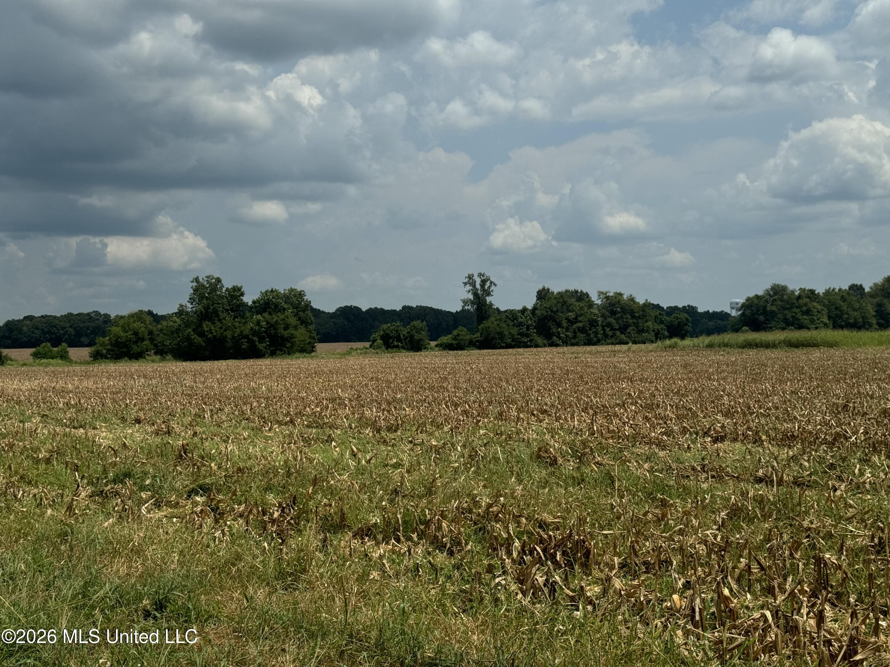 Finney Road Property Photo 9