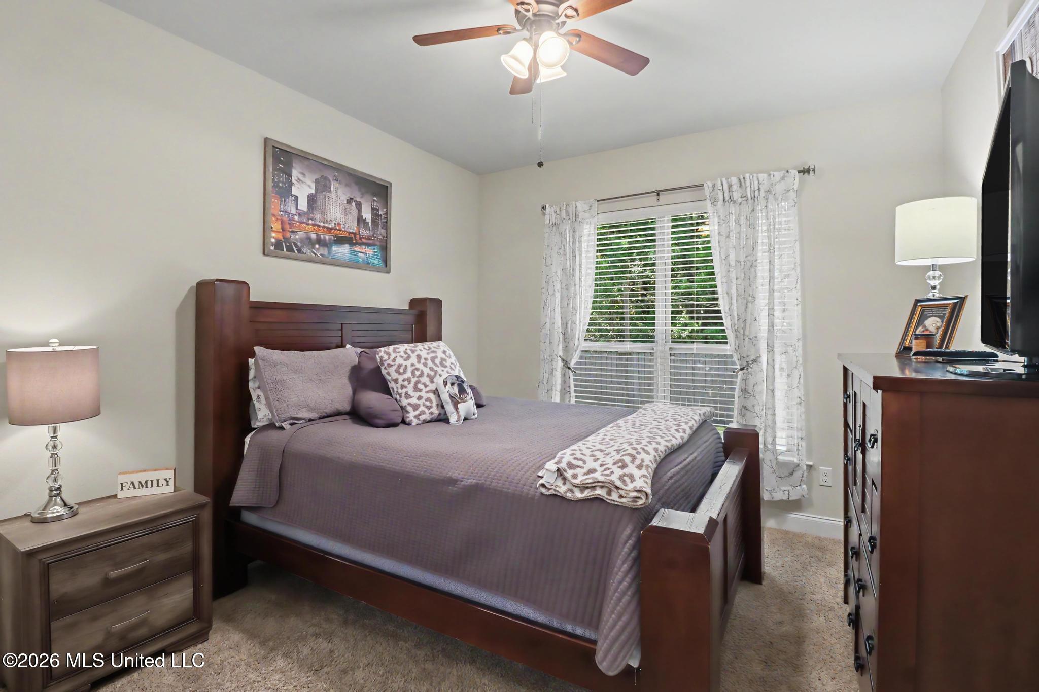12930 Hebert Cove Property Photo 15