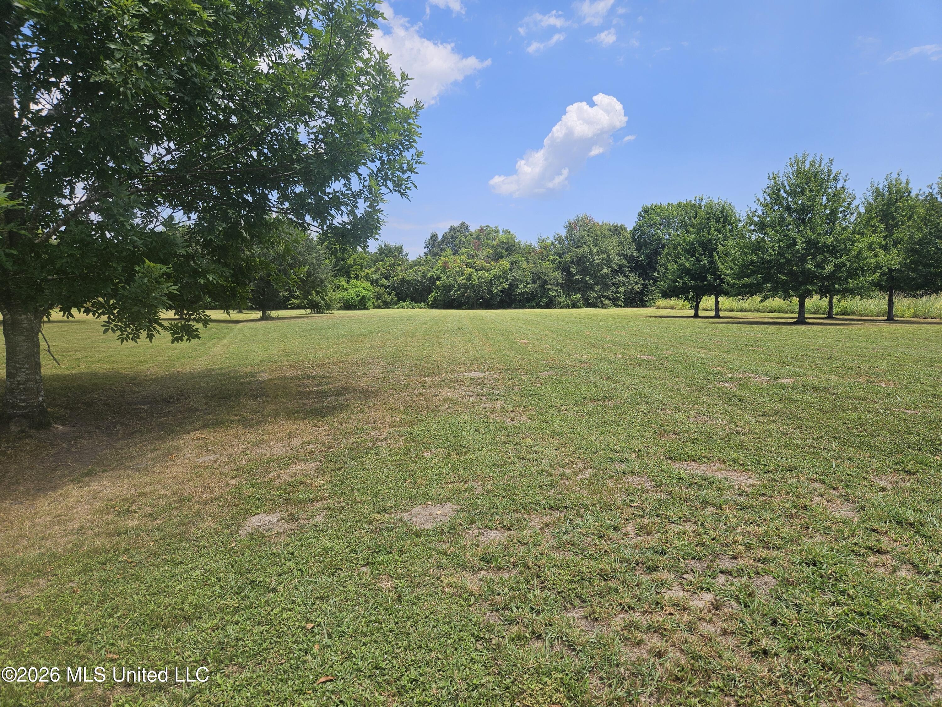 112 E Cottondale Court Property Photo 6