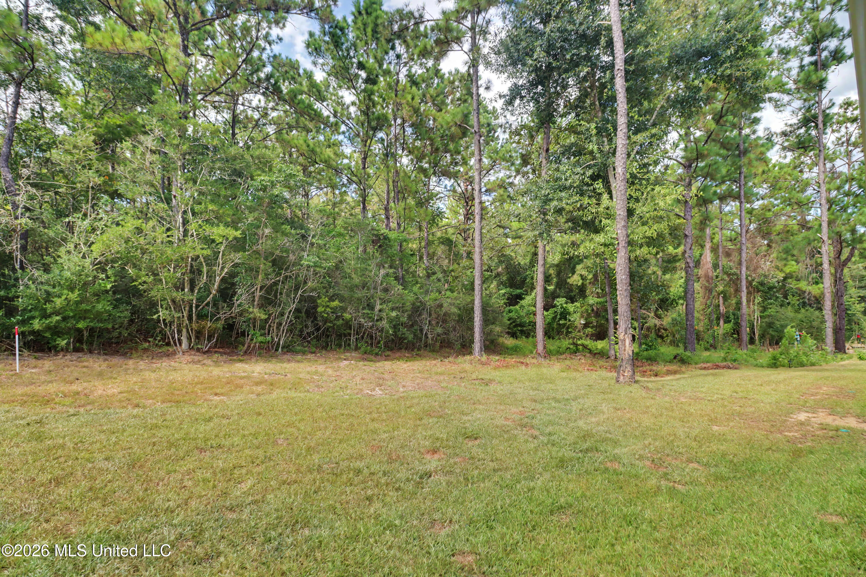14152 Debra Barbee Court Property Photo 28