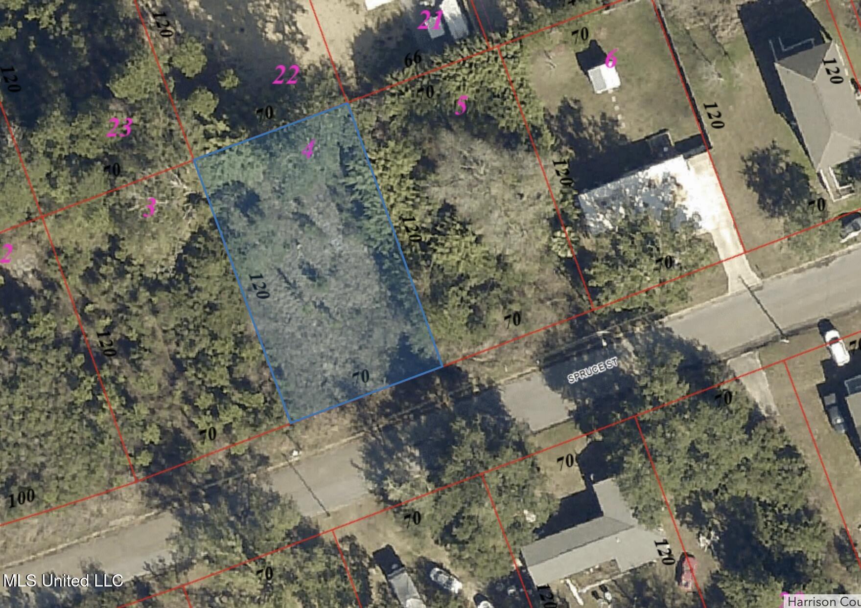 105 Spruce Street Property Photo 3