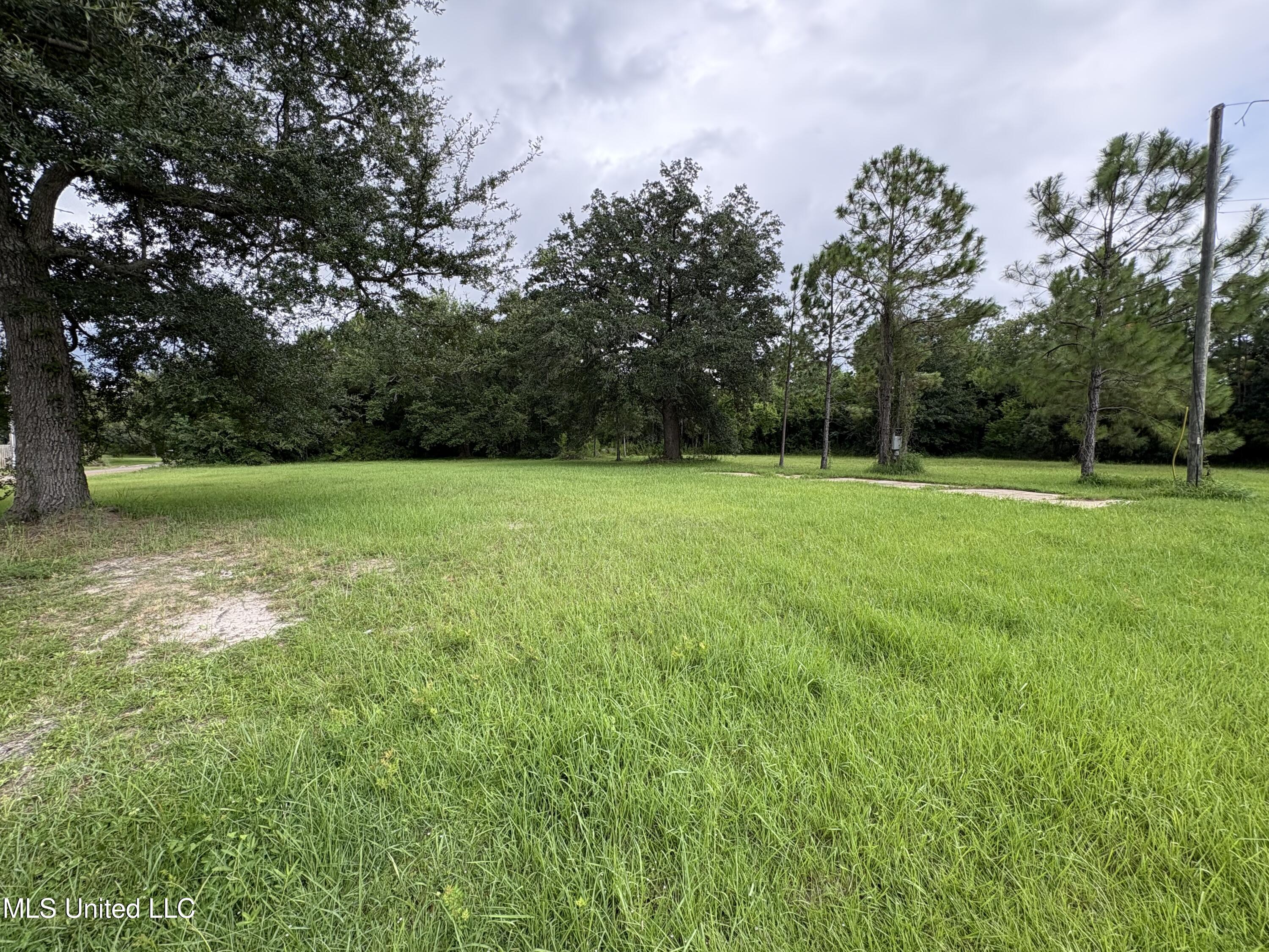 504 Cedar Avenue Property Photo 3