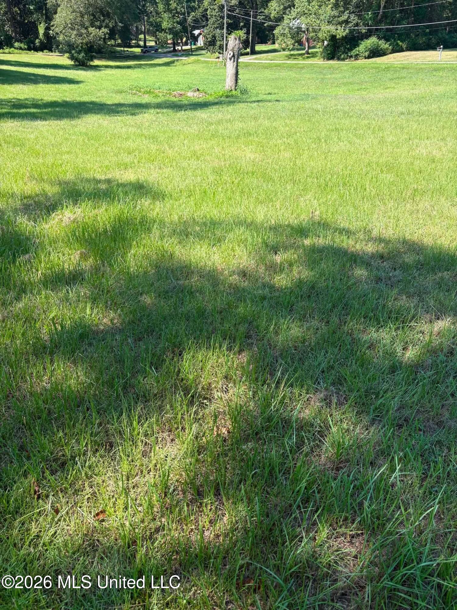 W College Avenue Property Photo 9