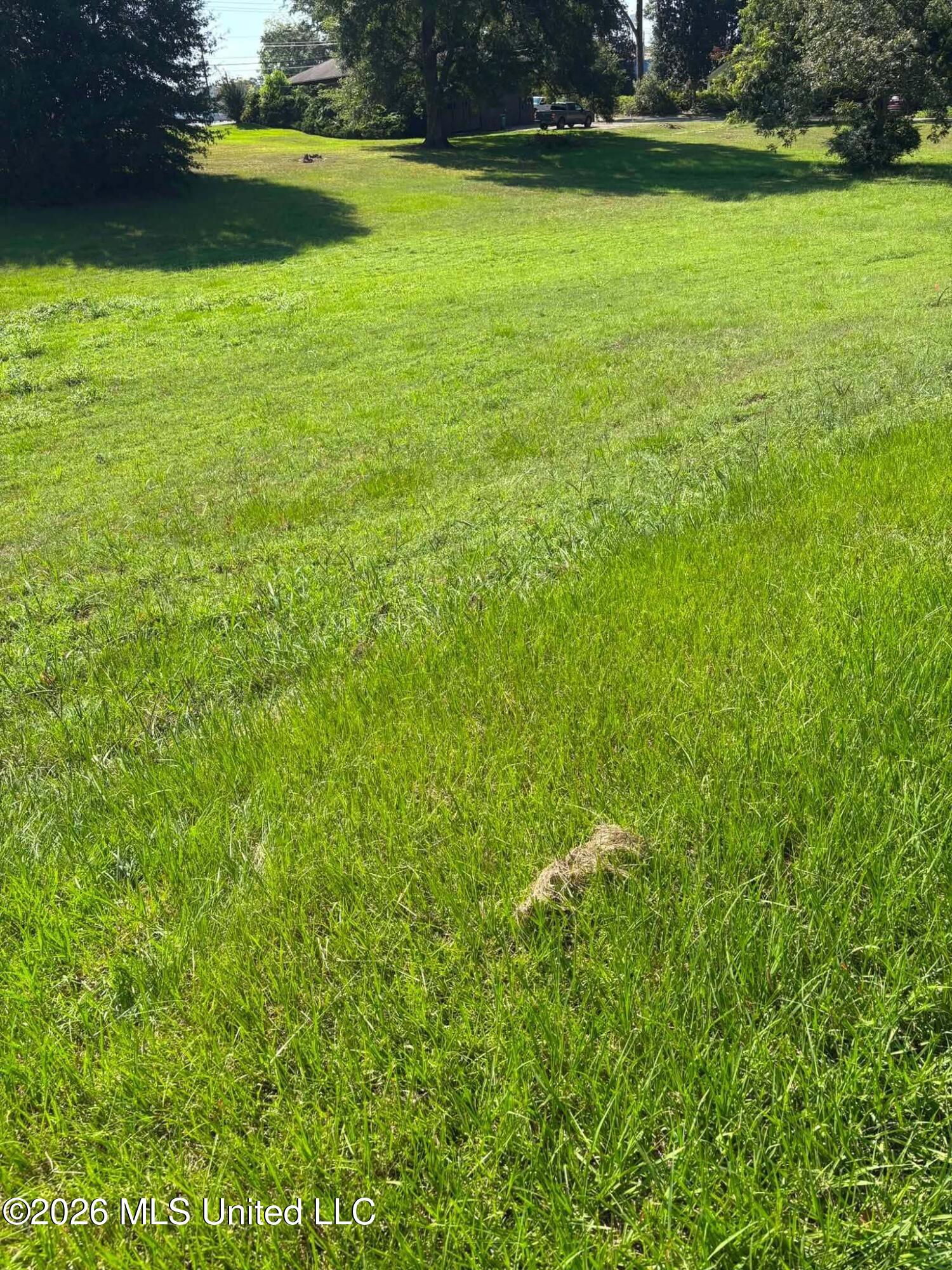 W College Avenue Property Photo 10