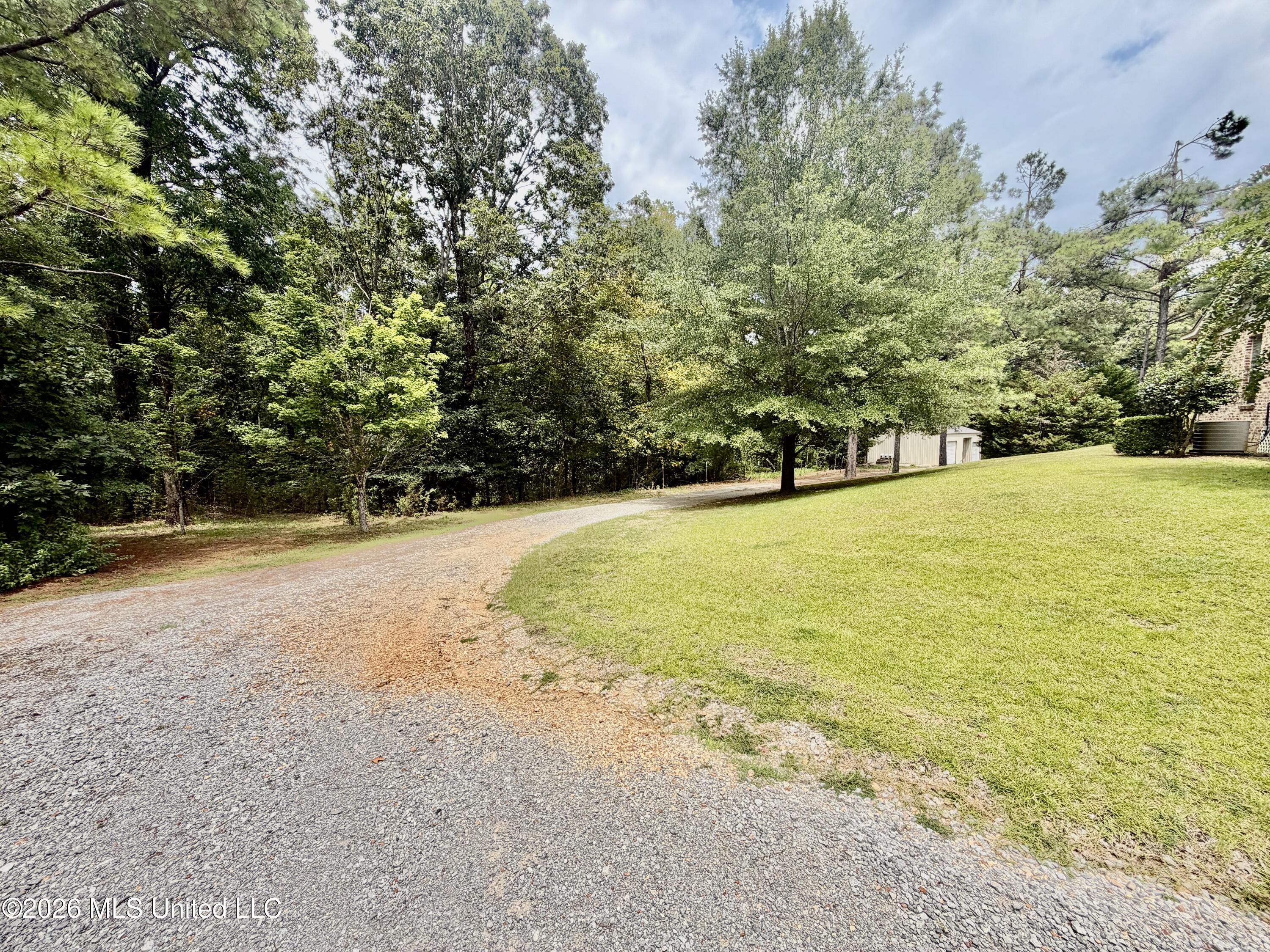 1081 County Road 184 Property Photo 37
