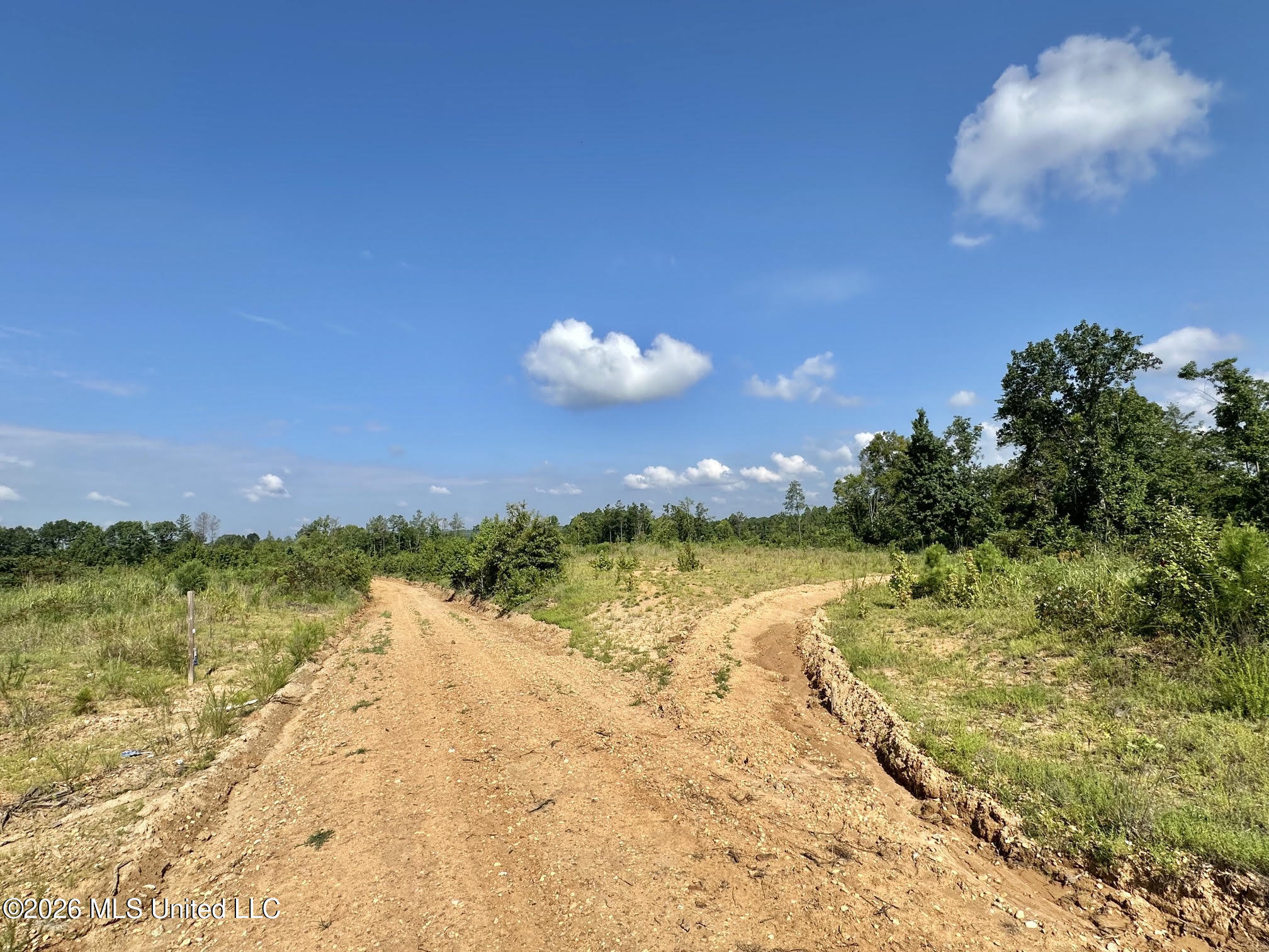 2 Will Womack Property Photo 3