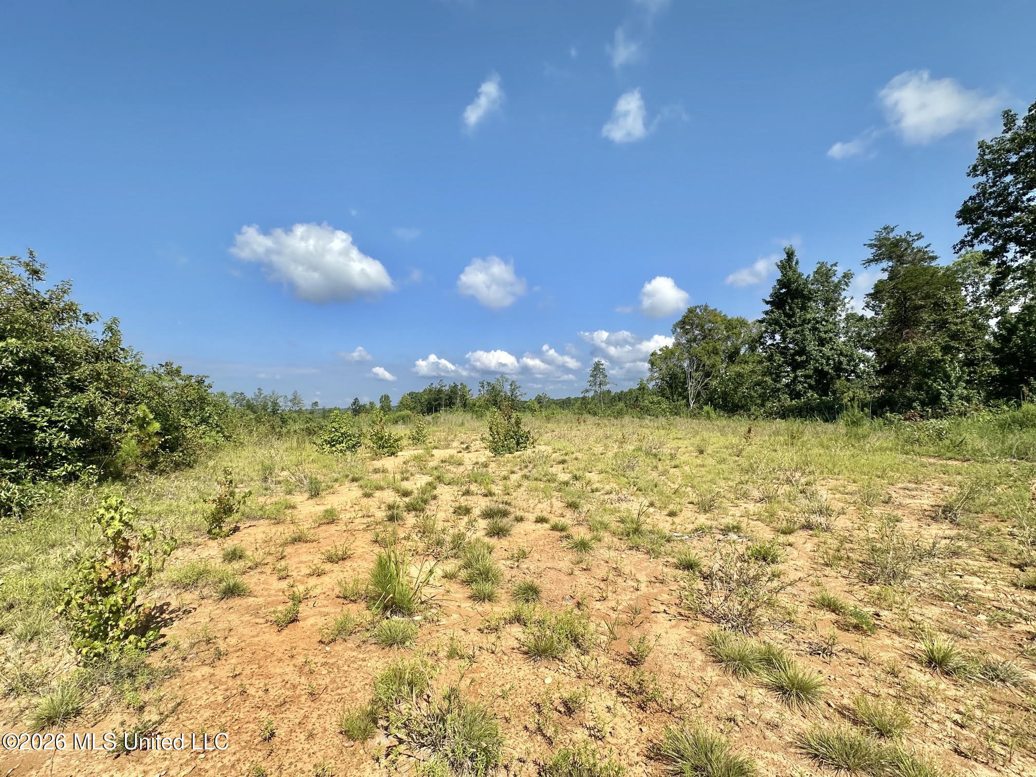 2 Will Womack Property Photo 4