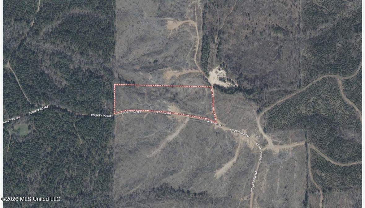 2 Will Womack Property Photo 7