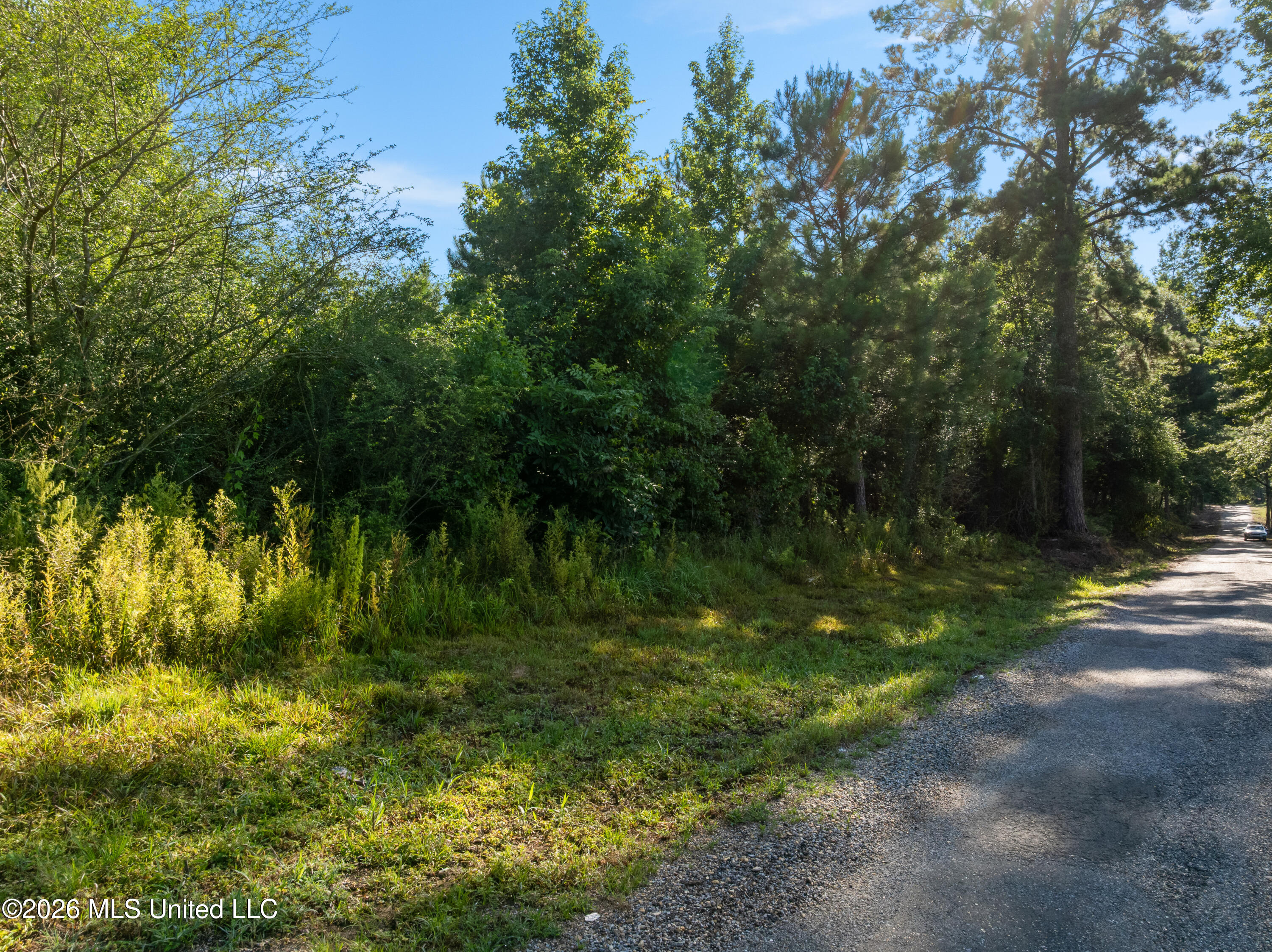 Fulgham Road Property Photo 15