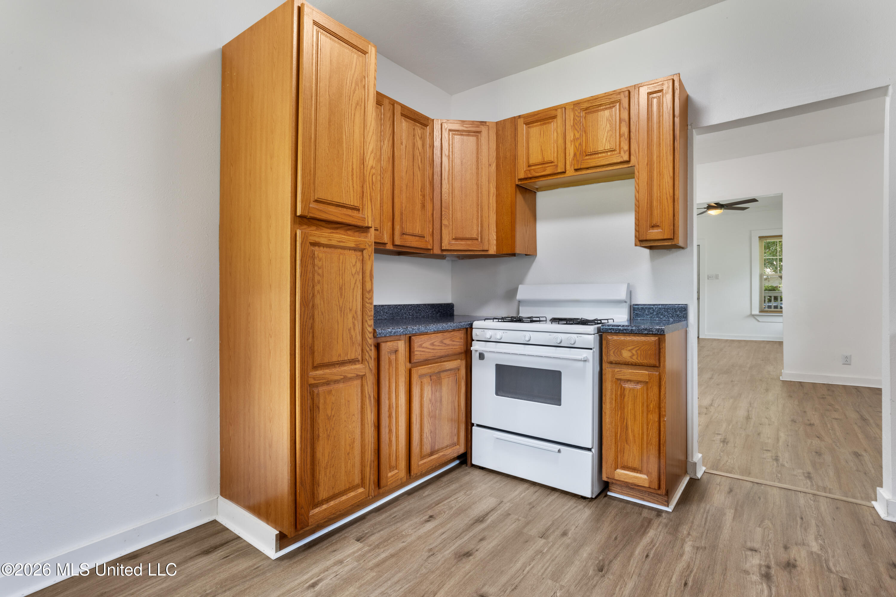2021 19th Avenue Property Photo 15